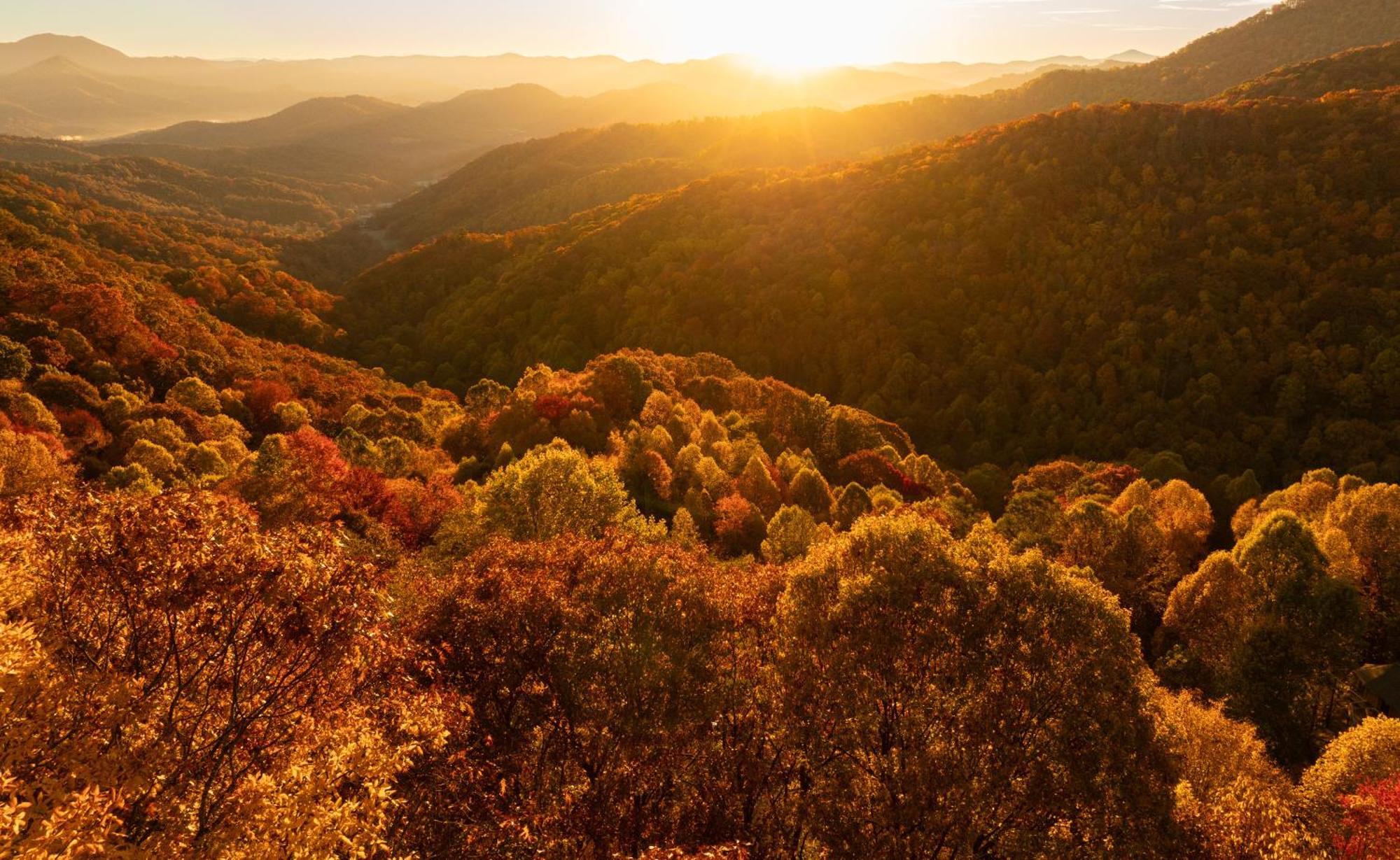 Hotel Elk & Embers Mountain Hideaway Waynesville Esterno foto