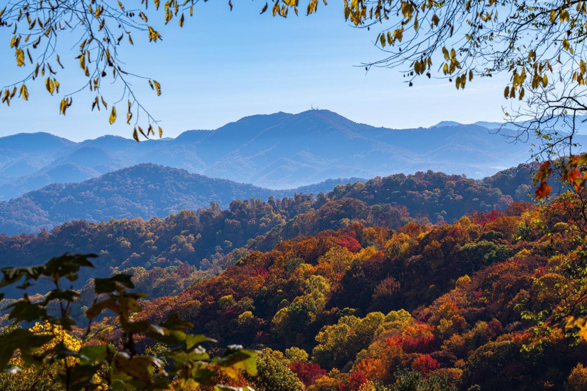 Hotel Elk & Embers Mountain Hideaway Waynesville Esterno foto
